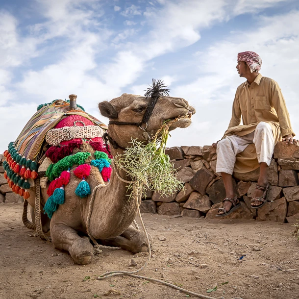 What are camel trekking in Egypt with Sinai Hikes?