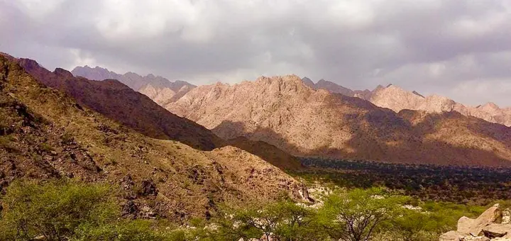 Misty green slopes of Mount Elba with wild vegetation in the Halaib Triangle, southern Egypt Mountains.