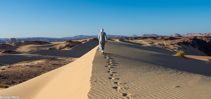 Bedouin guide walking up a sand dune with footprints in Sinai Desert